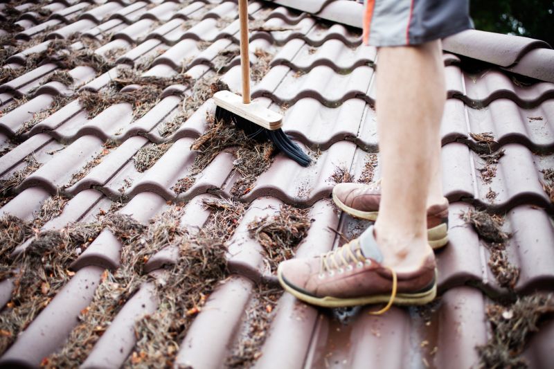 Local Pine Needle Removal pros at work
