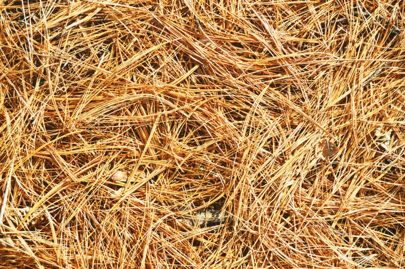 Improves yard appearance