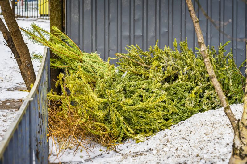 Pine Needle Removal