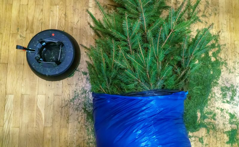 Inside of a Pine Needle Removal