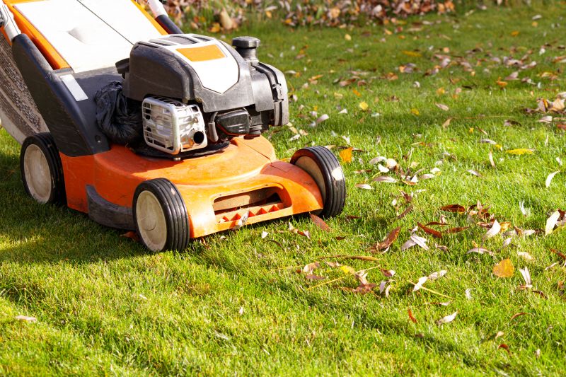 Seasonal Lawn Care