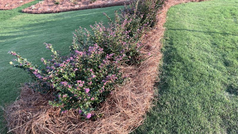 Landscape Enhancement